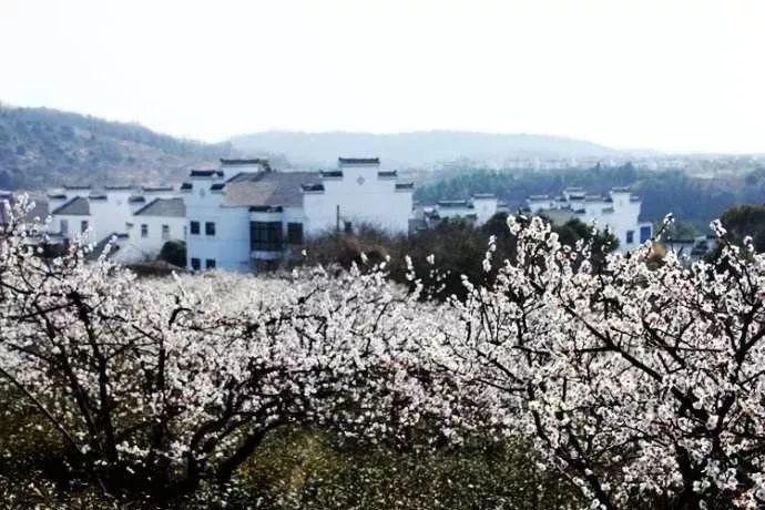 引来客还得留住人！江苏省人大代表支招助力文旅出圈又出彩